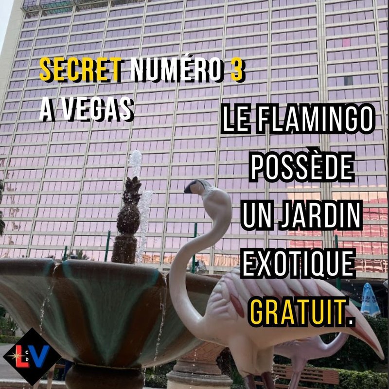 France - casino en ligne evolve casino